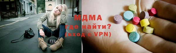 хмурый Аркадак