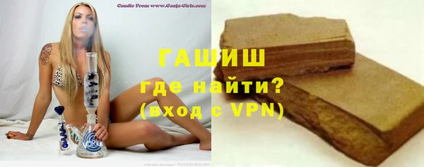 хмурый Аркадак