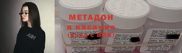 хмурый Аркадак