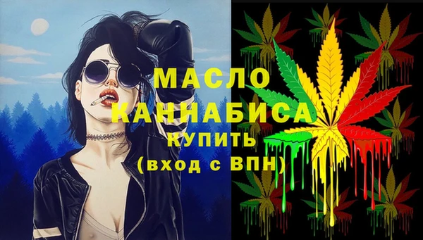 хмурый Аркадак