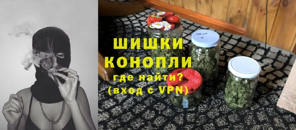 хмурый Аркадак