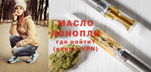 хмурый Аркадак