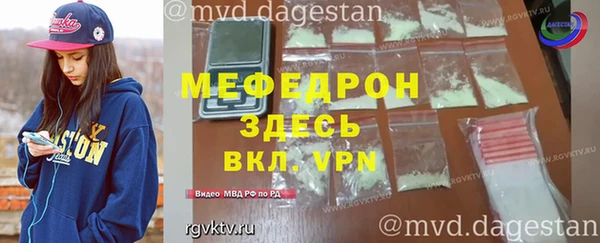 хмурый Аркадак